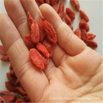 fruit organic New crop Premium quality Factory Wholesale qinghai dried goji berries black chinese wolfberry